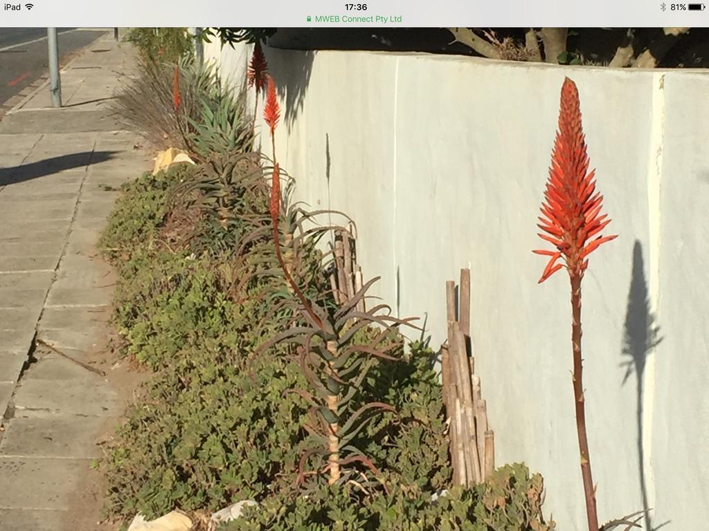 Apartamento 77 On 7Th Street Hermanus Exterior foto